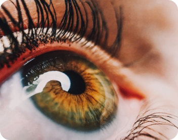 O que é retina e quais são os problemas que ela pode ter?