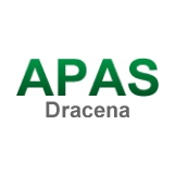 APAS DRACENA