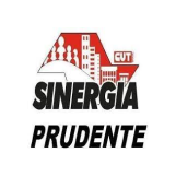 Sinergia Prudente